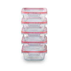 Pyrex? Freshlock? 10-piece Meal Prep Glass Storage Set